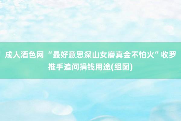 成人酒色网 “最好意思深山女磨真金不怕火”收罗推手追问捐钱用途(组图)